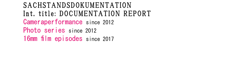 <p>2012-<br />
Documentation Report/<br />
Sachstandsdokumentation</p>